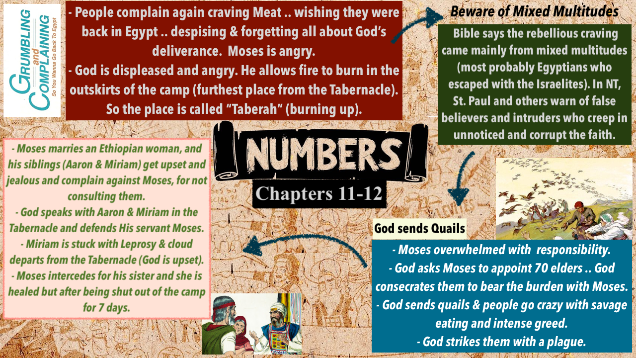 St. George Youth Group > 4. Numbers > Num 11-12.png