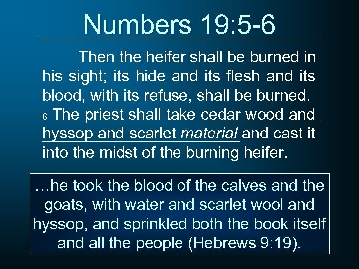 St. George Youth Group > 4. Numbers > image-48.jpg
