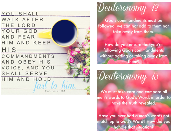 St. George Youth Group > 5. Deuteronomy > For Ch.12-13.png
