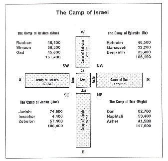 St. George Youth Group > 4. Numbers > camp3.jpg